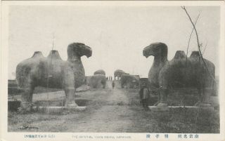 Nanking Ming Xiaoling Sacred Way Tomb Postcard Camels Nanjing China C1930 南京 明孝陵