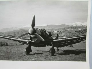 WWII Luftwaffe Photo StG 2 Immelmann Stuka Ju 87B Greece/Mediterranean 2
