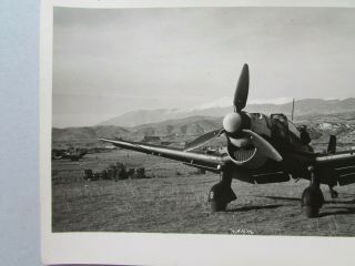 WWII Luftwaffe Photo StG 2 Immelmann Stuka Ju 87B Greece/Mediterranean 3