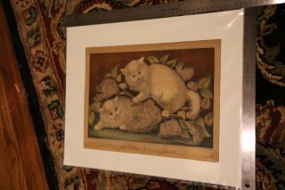 Two Little " Fraid Cats " Currier And Ives Lithograph 1800 