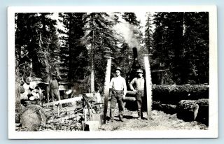 Early 1900s Logging Lumber Occupational Photo Rppc - N California Written Verso