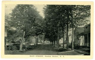 Preston Hollow Ny - Main Street Scene - Postcard Catskills Albany County
