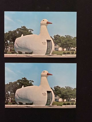 The Big Duck Duckling - Riverhead Hampton Bays Long Island Ny - Vintage - Postcard