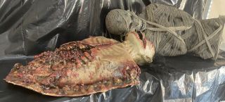 Halloween Ancient Mummy And Road Kill Haunted House Prop Decor Outdoor Latex