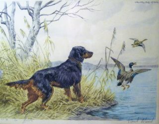 Vtg Paul Wood Paris Etching Society Signed Print Gordon Setter Hunting Dog Ducks