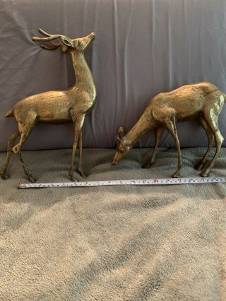 Vintage Brass Deer Reindeer Buck And Doe Set Of 2 13 “ Tall