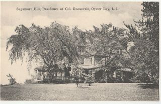 Sagamore Hill,  Home Of Col.  Roosevelt,  Oyster Bay Li Postcard (h.  O.  Korten)