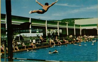 1966 Outdoor Mineral Pool Boyes Bath House Swimmers Hot Springs Ca Postcard D15