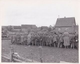 Signal Corps 8x10 Photo 2nd Division German Pow Prisoners Germany 207