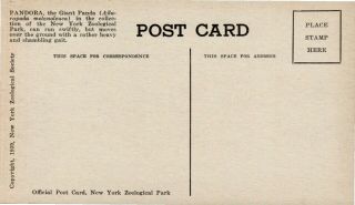 2 Postcards,  Giant Panda Pandora,  York City Zoo,  Died in Captivity 4