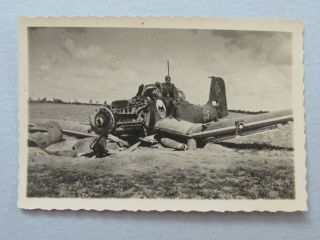 Wwii Luftwaffe Photo Crashed Stg 2 Stuka W/scottie Dog Unit Insignia