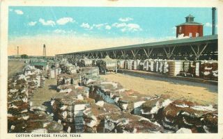Agriculture Industry Cotton Compress Taylor Texas Teich Postcard 20 - 7856