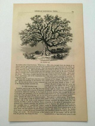 K123) William Penn Treaty Tree Pennsylvania 1862 Harper ' s Monthly Engraving 2