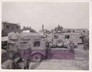 Signal Corps 8x10 Photo 9th Armored Division Capture German Trucks 62