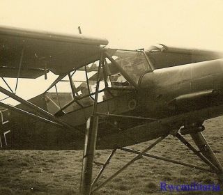 Wonderful Luftwaffe Fi.  156 Storch Recon Plane Preparing For Take - Off