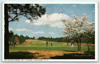 Postcard Nc Pinehurst The Pinehurst Country Club Golf Second Green Course 3 R38
