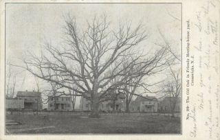 A View Of The Old Oak Tree In Friends Meeting House Yard,  Crosswicks,  Nj 1910