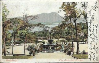Hong Kong - Botanical Gardens - Undivided Back Postard By Ribeiro,  London 1904