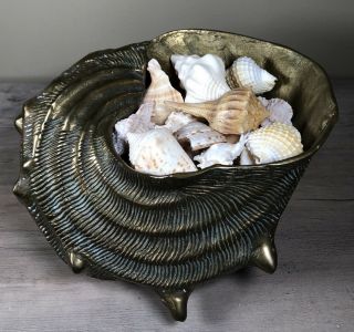 Heavy Solid Brass Vintage Conch Sea Shell Planter Bowl 8” Long