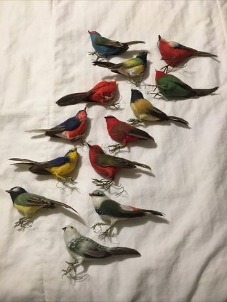 13 Vintage Lifelike Bird Christmas Ornaments With Feathers
