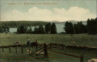Winter Harbor From Tuftonboro Neck Tuftonboro Hampshire Nh 1911 Postcard