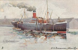 Allan Line Ocean Liner S.  S.  " Bavarian ",  1905