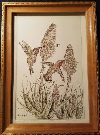 Artist D.  Lundquist " Hummingbirds " Signed Limited Edit 12/300 Etching Framed