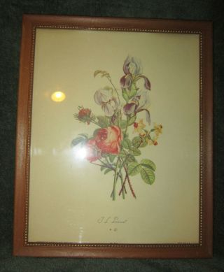 T.  L.  Prevost Vintage 8 " X 10 " Flower Print - Framed,  Vgc