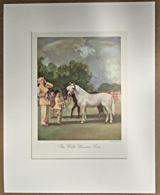 Vintage Wesley Dennis Horse Print In 16x20 Mat,  " The Welsh Mountain Pony "