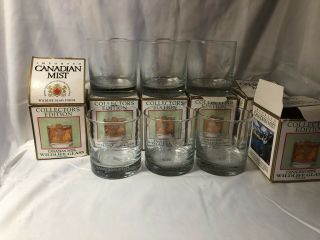 Set Of 6 Canadian Mist 1994 Wildlife Rocks Whiskey Glasses Canadian Geese Etched