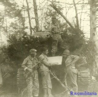 Port.  Photo: Best Us Tankers In Camo Jumpsuits W/ M4 Sherman Tank In Woods