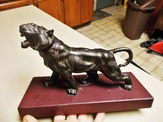 Vintage Cast Metal Statue Roaring Lion Walking,  Mouth Open,  Tail Curled Great D