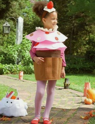 Pottery Barn Kids Cupcake Costume Halloween W/ Bag Size 2/3 2 3 4 5 6 Toddler