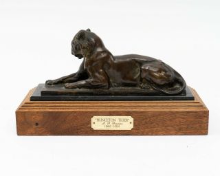 A.  P.  Proctor 1912 " Princeton Tiger " Bronze Statue Mounted On Marble & Wood