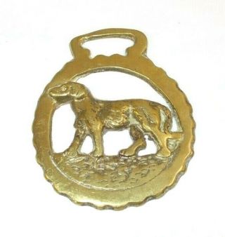 Vintage English Horse Brass Medallion With Bird Dog Hunting Dog Retriever Design