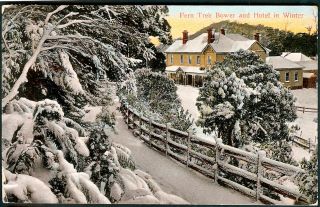 Tasmania Ferntree Bower " The Hotel In Winter Snow " 1908