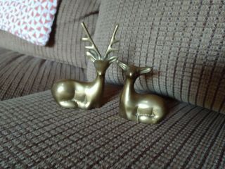 Set 2 Vintage Solid Brass Deer Buck & Doe Figures Figurine Mid Century Mod