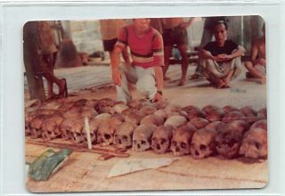 Malaysia - Sarawak - Heads Collected By Dayaks - Photograph As A Postcard -
