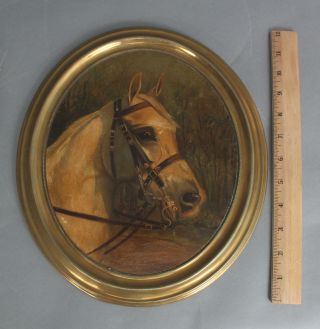 Antique Wilhelm Westerop Equestrian Horse Portrait Oil Painting