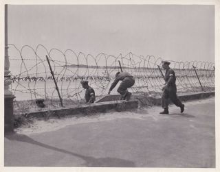 Signal Corps 8x10 Photo German Barbed Wire Obstacles Beach La Baule 18