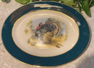 Vintage Large Thanksgiving Turkey Platter Embassy China Usa Gold Trimmed