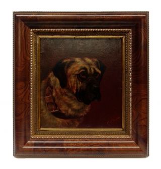 19th Century Portrait Of A Mastiff Dog Signed Antique Oil On Canvas Painting