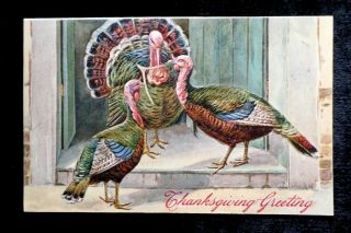Winsch Thanksgiving Greeting Embossed Turkeys On Porch Postcard 5531