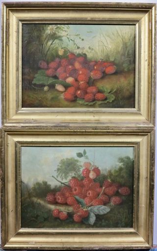 C.  1860s Fruit Still Life In Landscape Oil Painting Pair Hudson River School Era