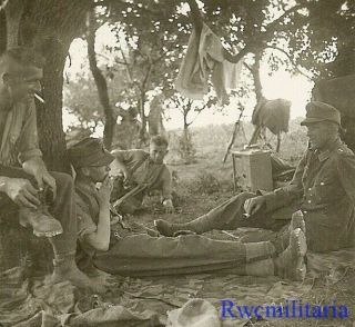 Best German Gebirgsjäger Troops Resting In Tree Grove W/ Field Radio & Gear