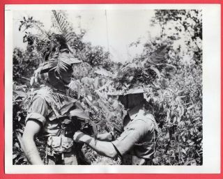 1941 Manchester Regiment Readies Camouflage Malaya Singapore News Photo