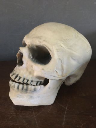 Vintage Vics Novelty Rubber Skull Halloween Prop