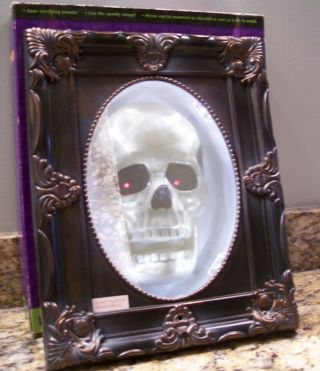 Gemmy Mystical Mirror W/talking 3d Skull & Spooky Sounds Halloween Prop 164889