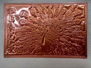 Engraved Tooled Copper Postcard Peacock By Kopper Kard Utah