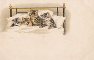 Helena Maguire (unsign) Cats Tucked Up In A Bed